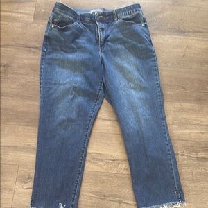 Wit & Wisdom Blue Ankle Cropped Jeans